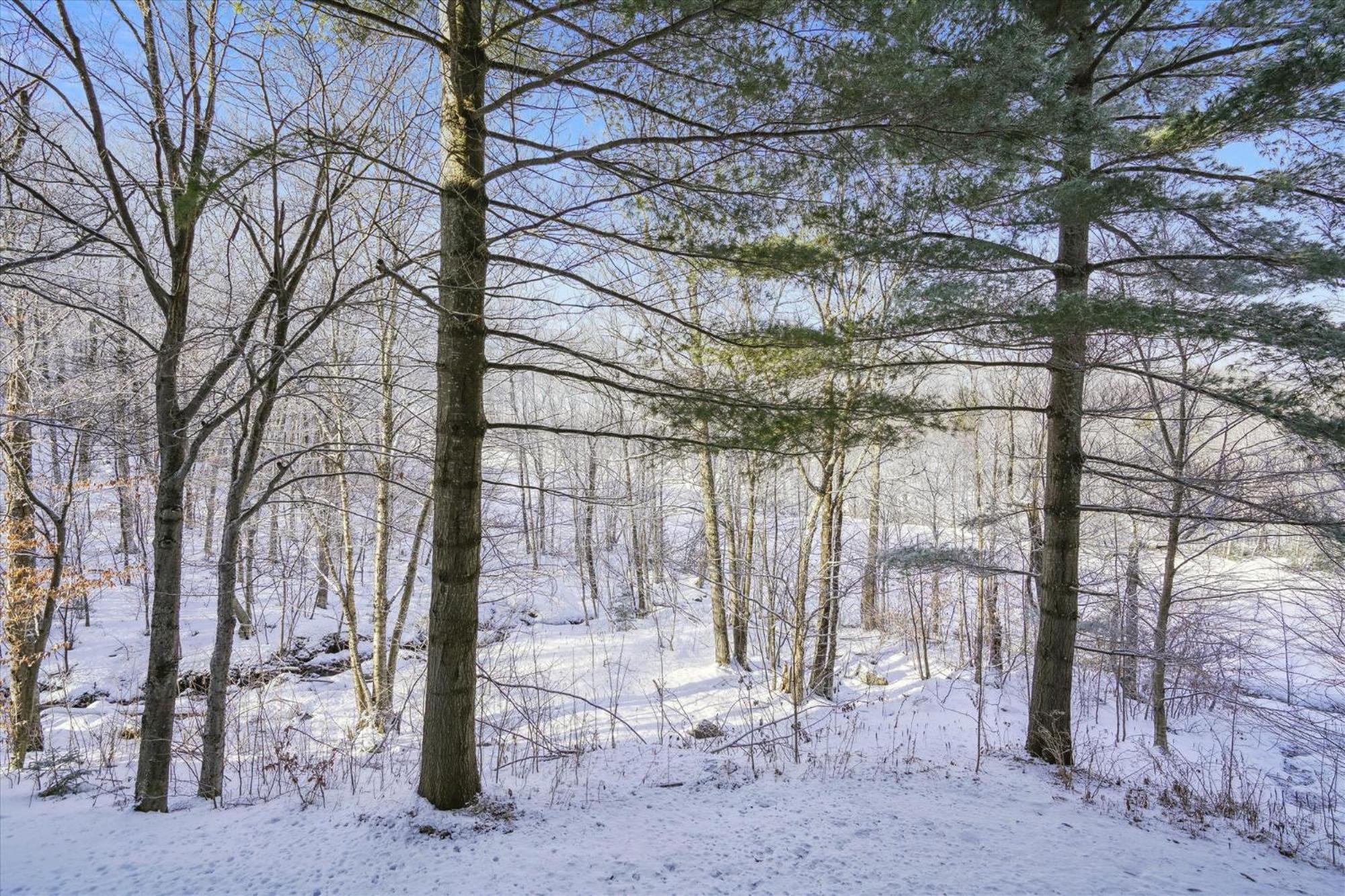 3-Bedroom Condo Ski-In, Shuttle, And Cozy Fireplace Whiffletree I3 Killington Exterior photo